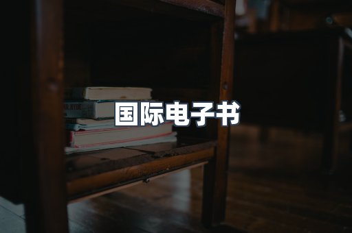 国际电子书