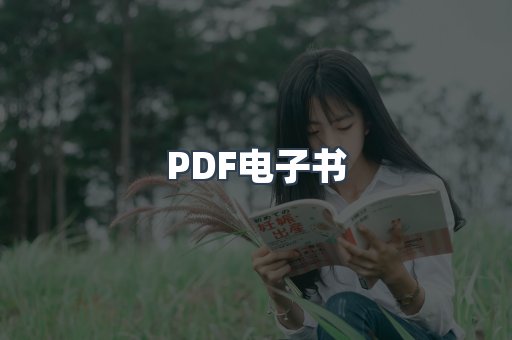 PDF电子书